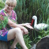 вера, 59, г.Горнозаводск вера, 59, г.Горнозаводск