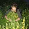 Вероника, 39, г.Дно Вероника, 39, г.Дно