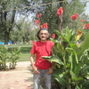 Аликсей, 59, г.Орловский Аликсей, 59, г.Орловский