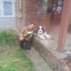 валерий, 54, г.Ожерелье валерий, 54, г.Ожерелье