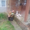 валерий, 53, г.Ожерелье валерий, 53, г.Ожерелье
