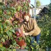 Татьяна, 58, г.Никольск Татьяна, 58, г.Никольск