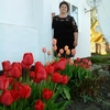 Наталья, 49, г.Мамонтово Наталья, 49, г.Мамонтово