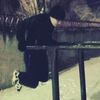 Анатолий, 28, г.Светлоград Анатолий, 28, г.Светлоград