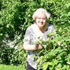 Людмила, 70, г.Великий Новгород (Новгород) Людмила, 70, г.Великий Новгород (Новгород)