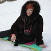 ღ༺♡ Я ♡༻ღ, 54, г.Березовский ღ༺♡ Я ♡༻ღ, 54, г.Березовский