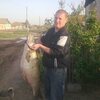 Алексанжр, 36, г.Владикавказ Алексанжр, 36, г.Владикавказ