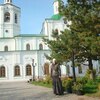 Mila, 45, г.Ярково Mila, 45, г.Ярково
