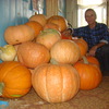 юрий, 55, г.Мариинский Посад юрий, 55, г.Мариинский Посад