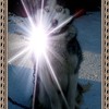 dmitri, 32, г.Харовск dmitri, 32, г.Харовск