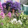 Нина, 62, г.Брянск Нина, 62, г.Брянск