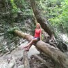 Анжела, 45, г.Чебоксары Анжела, 45, г.Чебоксары