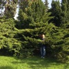 Крисс, 47, г.Оренбург Крисс, 47, г.Оренбург