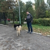 Али, 22, г.Пенза Али, 22, г.Пенза