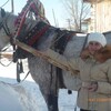Cветлана, 34, г.Минусинск Cветлана, 34, г.Минусинск