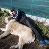 Гордон, 31, г.Кировград Гордон, 31, г.Кировград