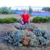 Анатолий, 39, г.Керчь Анатолий, 39, г.Керчь