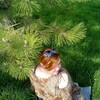 ТАТЬЯНА, 36, г.Новороссийск ТАТЬЯНА, 36, г.Новороссийск