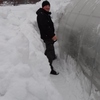 Денис, 25, г.Киров (Кировская обл.) Денис, 25, г.Киров (Кировская обл.)