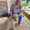 Ирина, 37, г.Вельск Ирина, 37, г.Вельск