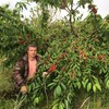 Руслан, 38, г.Бахчисарай Руслан, 38, г.Бахчисарай