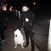 Greeh hill, 29, г.Ванино Greeh hill, 29, г.Ванино