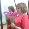 Наталья, 57, г.Нягань Наталья, 57, г.Нягань