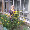 Тоня, 54, г.Дорохово Тоня, 54, г.Дорохово