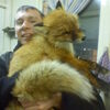 Валерий, 47, г.Сыктывкар Валерий, 47, г.Сыктывкар