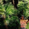 Тамара, 73, г.Обухово Тамара, 73, г.Обухово
