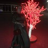 Елена, 42, г.Крымск Елена, 42, г.Крымск