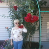 Тамара, 59, г.Ракитное Тамара, 59, г.Ракитное
