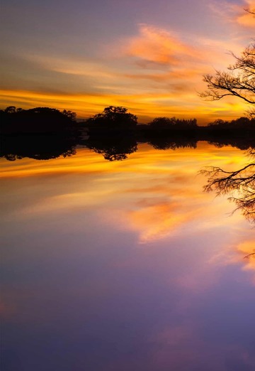 Лев (@lev11648) — моя фотография № 1