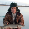 Сергей, 39, г.Ижевск Сергей, 39, г.Ижевск