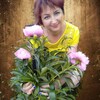 Электра, 52, г.Сольцы Электра, 52, г.Сольцы