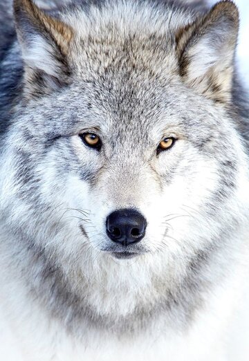 Мага (@maga15627) — моя фотография № 1