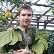 Дмитрий 31 Бийск