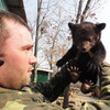 Игорь, 36, г.Южно-Сахалинск Игорь, 36, г.Южно-Сахалинск