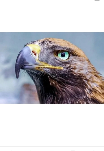 Zxcvbnm (@magomed7708) — моя фотография № 1