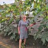 Клавдия, 60, г.Ейск Клавдия, 60, г.Ейск