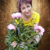 Электра, 52, г.Сольцы Электра, 52, г.Сольцы