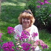Вера, 57, г.Воронеж Вера, 57, г.Воронеж
