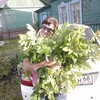 ОЛЬГА, 50, г.Мордово ОЛЬГА, 50, г.Мордово