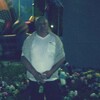 гена, 55, г.Анна гена, 55, г.Анна