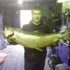 Артём, 38, г.Кильдинстрой Артём, 38, г.Кильдинстрой