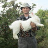 Дмитрий, 41, г.Ключи (Алтайский край) Дмитрий, 41, г.Ключи (Алтайский край)