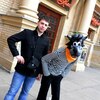 Илья, 31, г.Череповец Илья, 31, г.Череповец