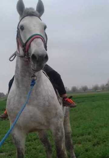 магамед (@magamed2959) — моя фотография № 1