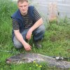 Вячеслав, 43, г.Боровичи Вячеслав, 43, г.Боровичи
