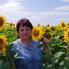 наталья, 56, г.Тросна наталья, 56, г.Тросна